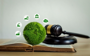How to Find Environmental Attorneys Who Fight for Sustainability